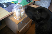 20070402.jpg