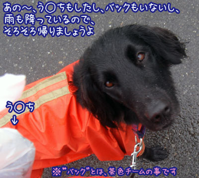20070403-2.jpg