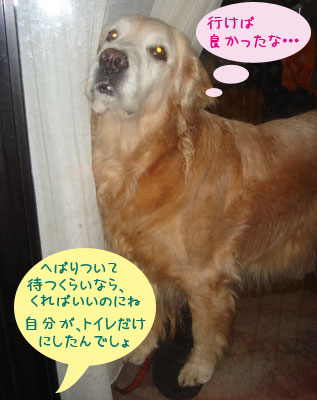 20070403-3.jpg