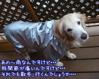 20070403.jpg