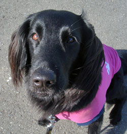 20070405.jpg
