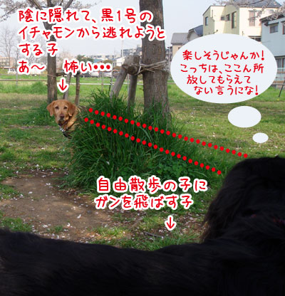 20070407-2.jpg