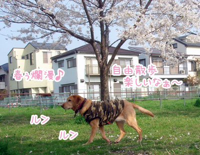 20070407.jpg