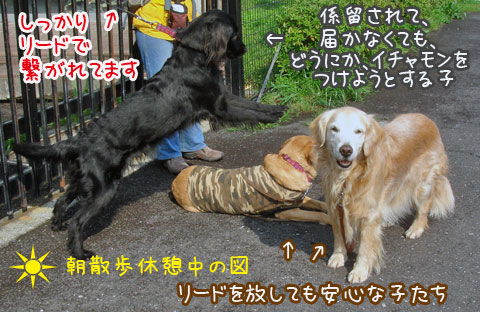 20070408.jpg