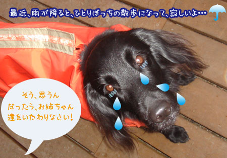 20070412.jpg