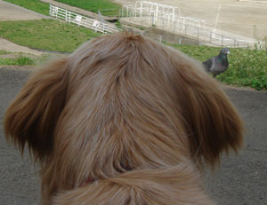 20070416-2.jpg