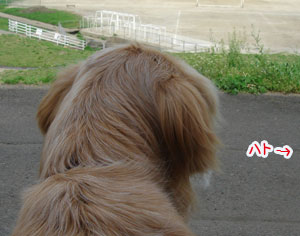 20070416-3.jpg