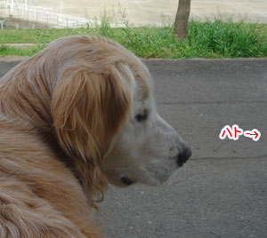 20070416-4.jpg
