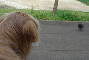 20070416-5.jpg