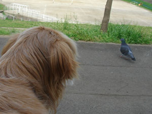 20070416-6.jpg