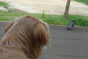 20070416-7.jpg