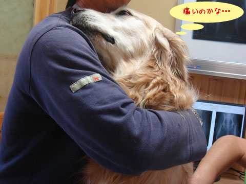 20070516-2.jpg