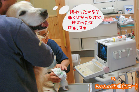 20070516-3.jpg