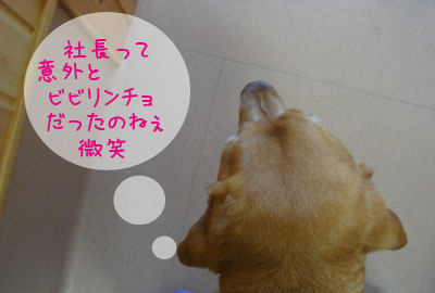 20070517.jpg