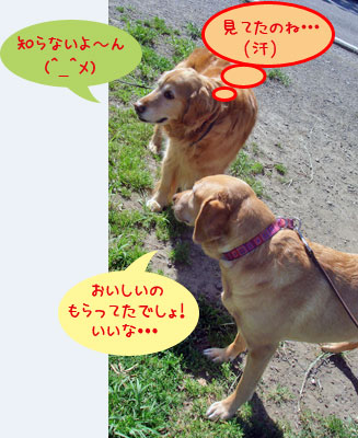 20070521.jpg