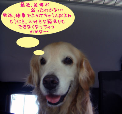 20070524-2.jpg