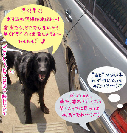 20070524-4.jpg