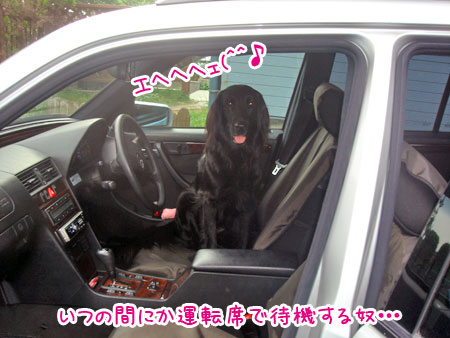 20070528-2.jpg