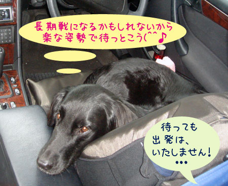 20070528-3.jpg