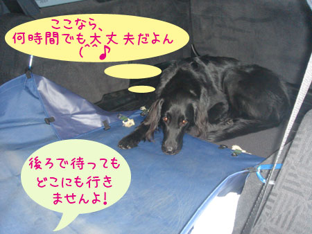 20070528-4.jpg