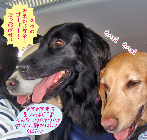 20070604-01.jpg