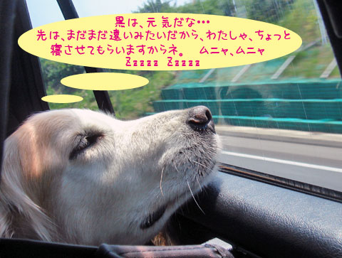 20070604-02.jpg