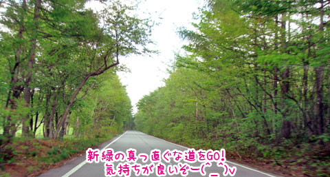 20070604-03.jpg