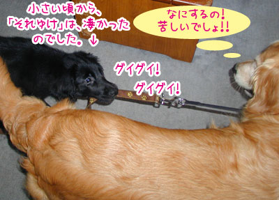 20070609.jpg