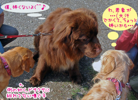 20070612.jpg