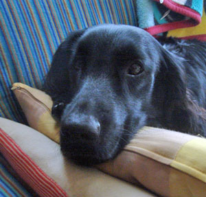 20070613.jpg