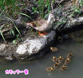 20070619-1.jpg