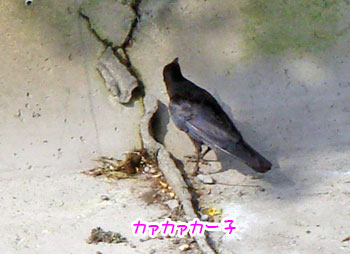20070619-2.jpg