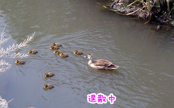 20070619-3.jpg
