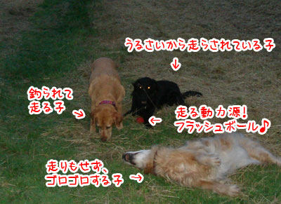 20070701.jpg