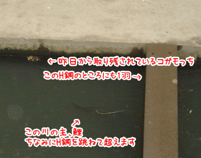 20070702.jpg