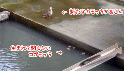 20070703-2.jpg