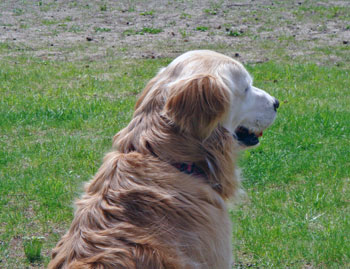 20070704.jpg