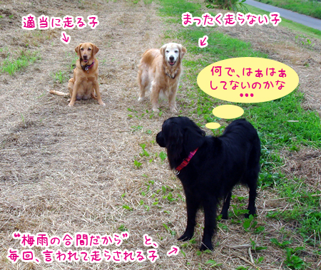 20070706.jpg