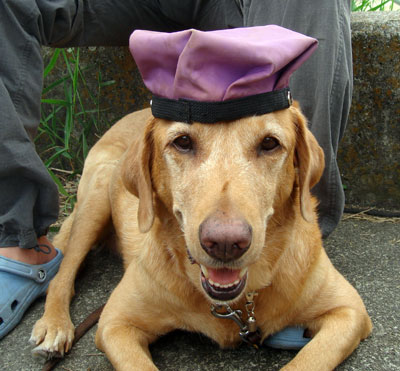 20070708-2.jpg