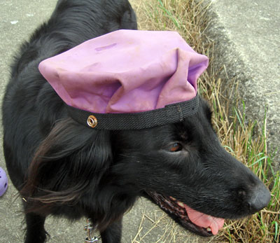 20070708-3.jpg