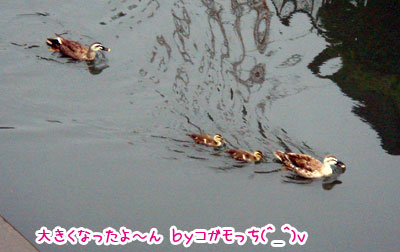 20070712-1.jpg