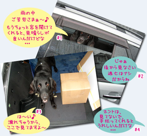 20070714.jpg