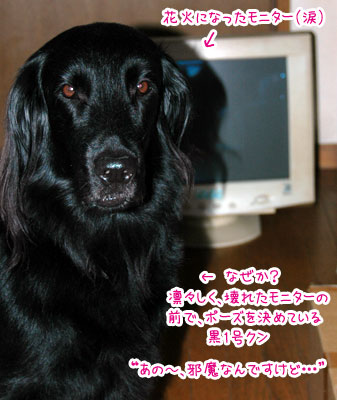 20070802.jpg
