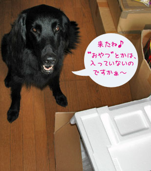 20070803-1.jpg