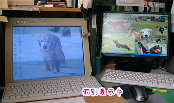 20070803-2.jpg