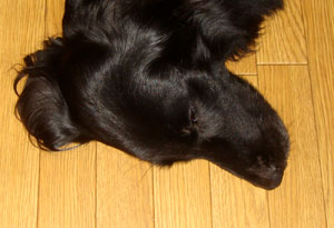20070805.jpg
