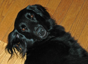 20070806.jpg