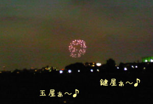 20070812.jpg