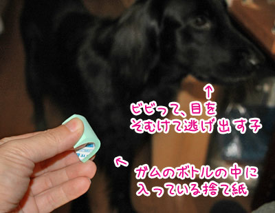20070815-1.jpg