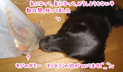 20070816.jpg